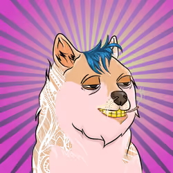 THE BILLIONAIRE DOGE CLUB #2556