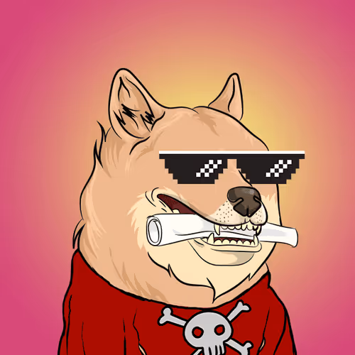 The Billionaire Doge Club