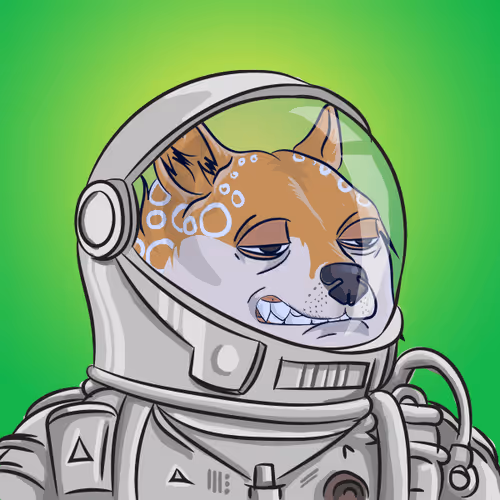 The Billionaire Doge Club