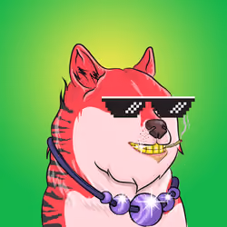 THE BILLIONAIRE DOGE CLUB #1862
