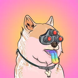 THE BILLIONAIRE DOGE CLUB #11