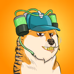 THE BILLIONAIRE DOGE CLUB #1923