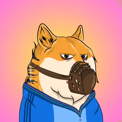 THE BILLIONAIRE DOGE CLUB #2312
