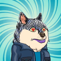 THE BILLIONAIRE DOGE CLUB #500
