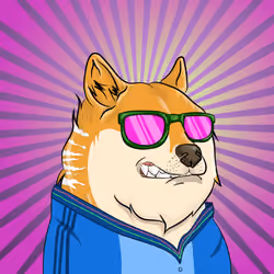 THE BILLIONAIRE DOGE CLUB #1604