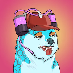 THE BILLIONAIRE DOGE CLUB #2408