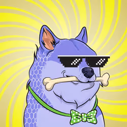 THE BILLIONAIRE DOGE CLUB #479