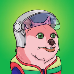 THE BILLIONAIRE DOGE CLUB #676