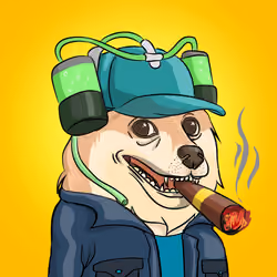 THE BILLIONAIRE DOGE CLUB #2348