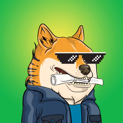 The Billionaire Doge Club