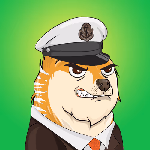 The Billionaire Doge Club