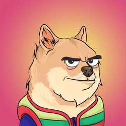 THE BILLIONAIRE DOGE CLUB #71