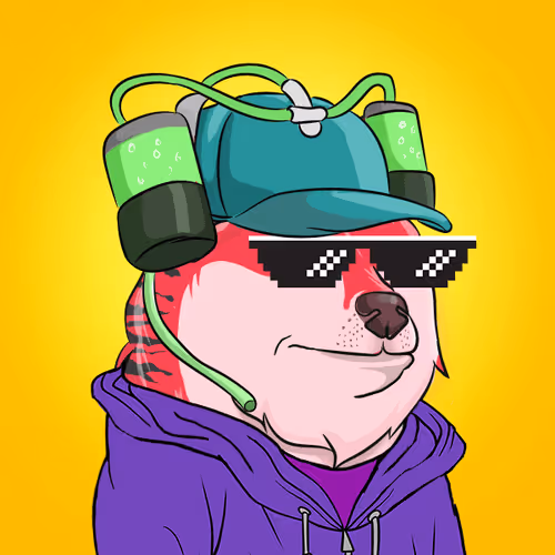 The Billionaire Doge Club