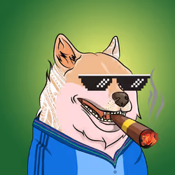 THE BILLIONAIRE DOGE CLUB #2437