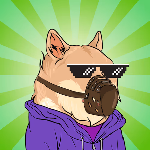 The Billionaire Doge Club