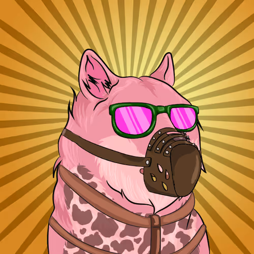 The Billionaire Doge Club