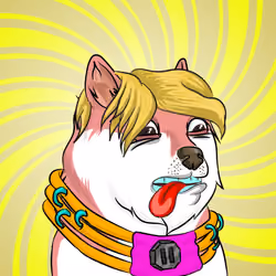 THE BILLIONAIRE DOGE CLUB #849