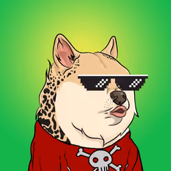 THE BILLIONAIRE DOGE CLUB #81