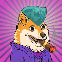 THE BILLIONAIRE DOGE CLUB #2498