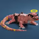 1428