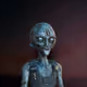 621