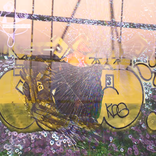 Parkerito Net