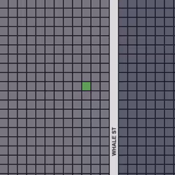 4293394407