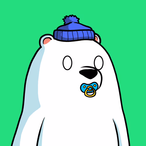 Snow Bears