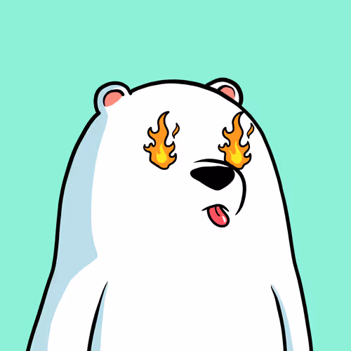 Snow Bears