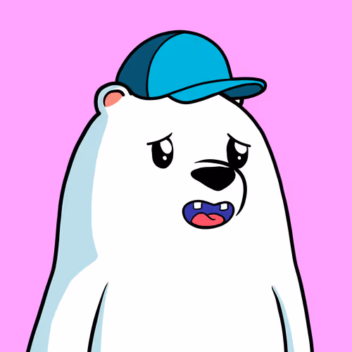Snow Bears