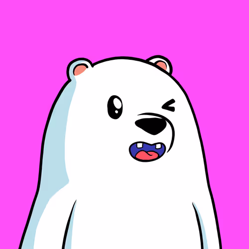 Snow Bears