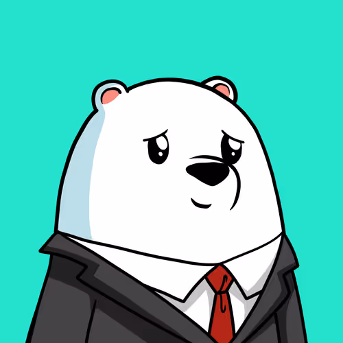 Snow Bears