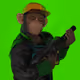 4816