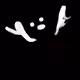 2244