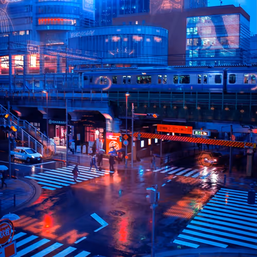 Tokyoluveditions