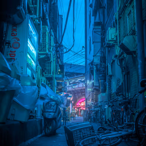 Tokyoluveditions