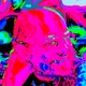 AOTM CYPHERPUNK SHOW