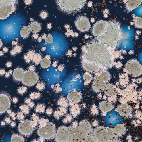 Newfungustokens