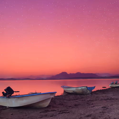 Pink Sky Reverie