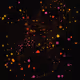 Signal Geometry #1437