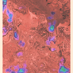 61
