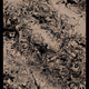 126