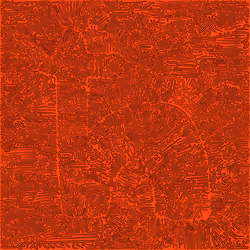 323
