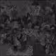 266