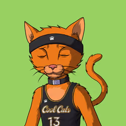 Master Cats #1241