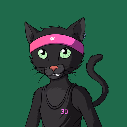 Master Cats #6445