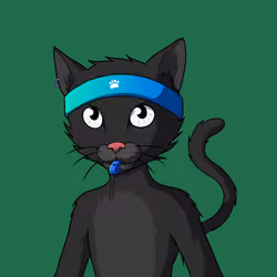 Master Cats #2592