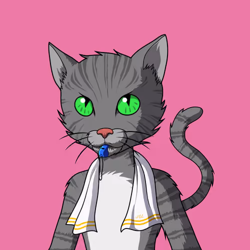 Master Cats #6554