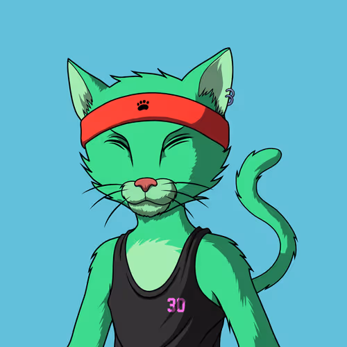 Mastercatsnft
