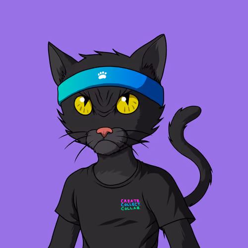 Master Cats #8191
